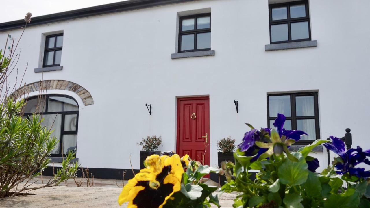 Bed and Breakfast Cartron House à Ballinakill  Extérieur photo
