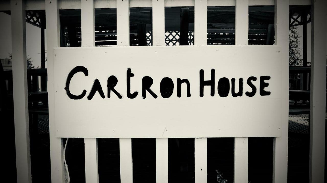 Bed and Breakfast Cartron House à Ballinakill  Extérieur photo